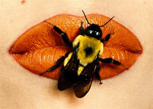 irving penn kiss of the bumblebee