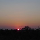 <B>On Safari:</B> Sunrise<em> to </em>Sunset
