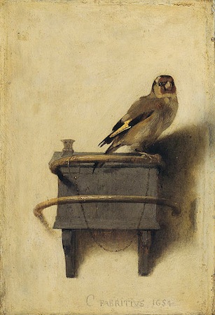 the goldfinch fabritius